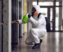 Best Biohazard Mold Removal  in Mount Kisco, NY